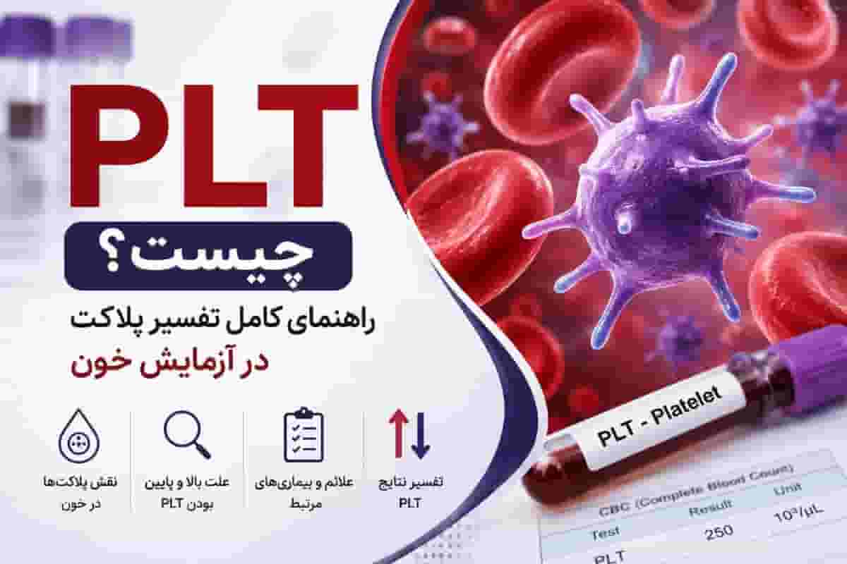PLT چیست؟ علت بالا و پایین بودن PLT در آزمایش خون | راهنمای کامل تفسیر پلاکت